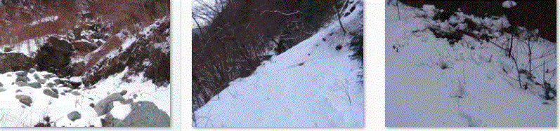 f0231709_1122274.gif