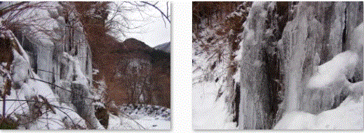 f0231709_1165489.gif