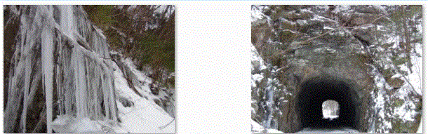 f0231709_121419.gif
