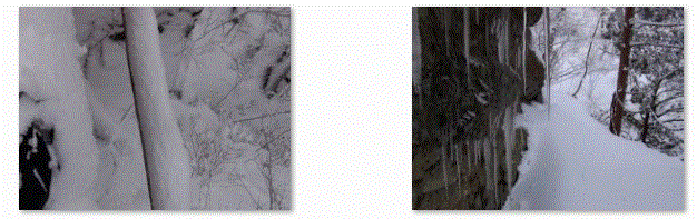 f0231709_1403350.gif