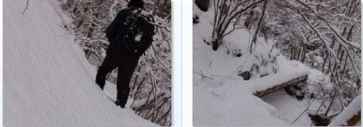 f0231709_144656.gif