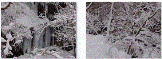 f0231709_1543771.gif