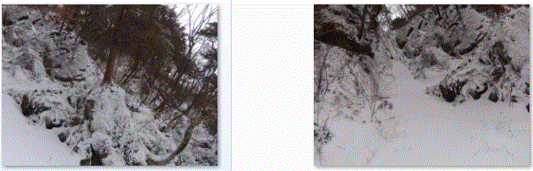 f0231709_1585472.gif