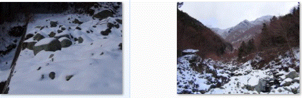 f0231709_182475.gif