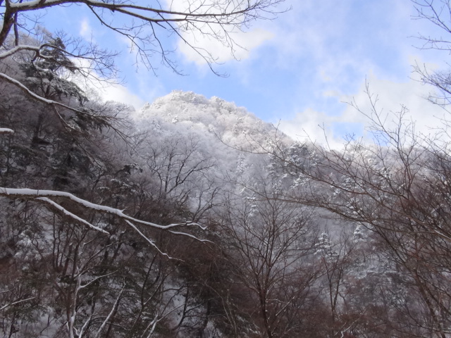 f0231709_21197.jpg