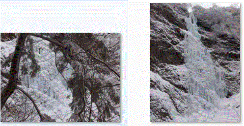 f0231709_223554.gif