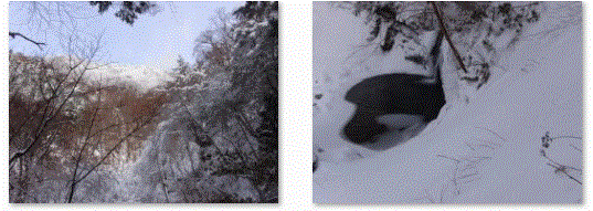 f0231709_2291385.gif