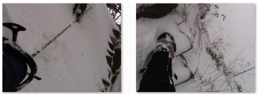 f0231709_231049.gif