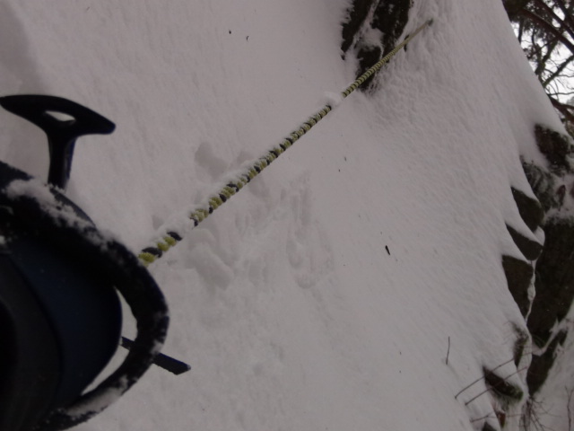 f0231709_8163423.jpg
