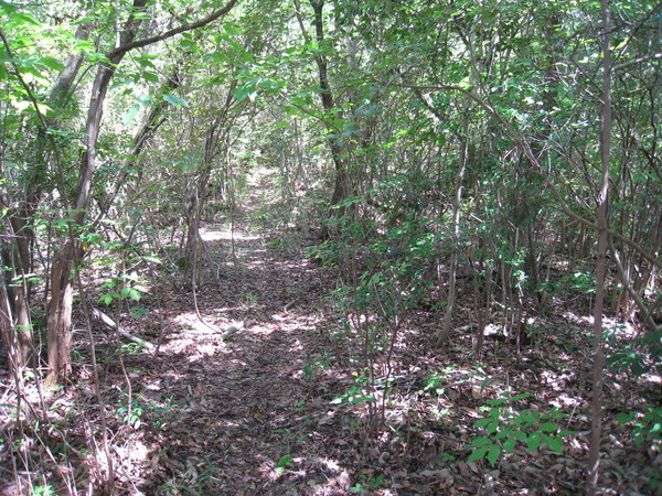 d0287413_2094737.jpg
