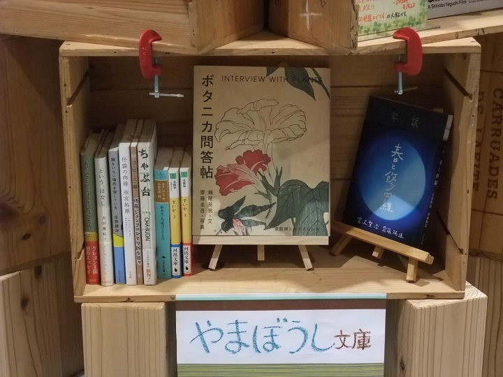 ワケありな図書館始まりました！_f0351315_10320090.jpg