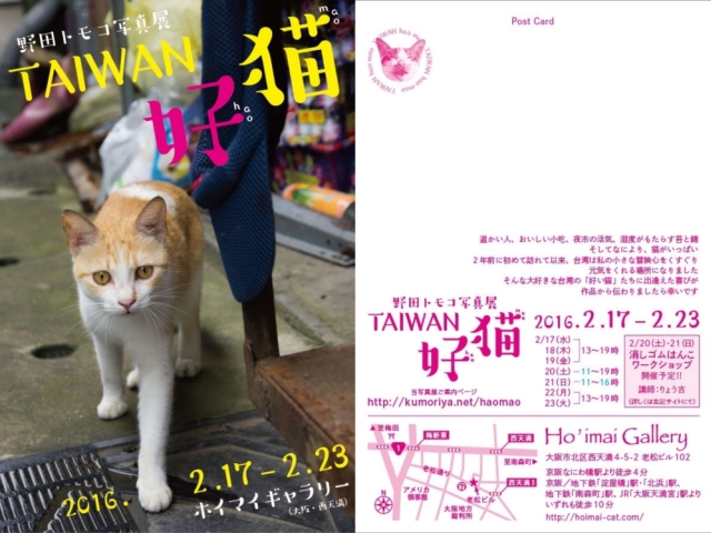 野田トモコさん台湾猫写真展と私のはんこワークショップ_c0136217_17165813.jpg