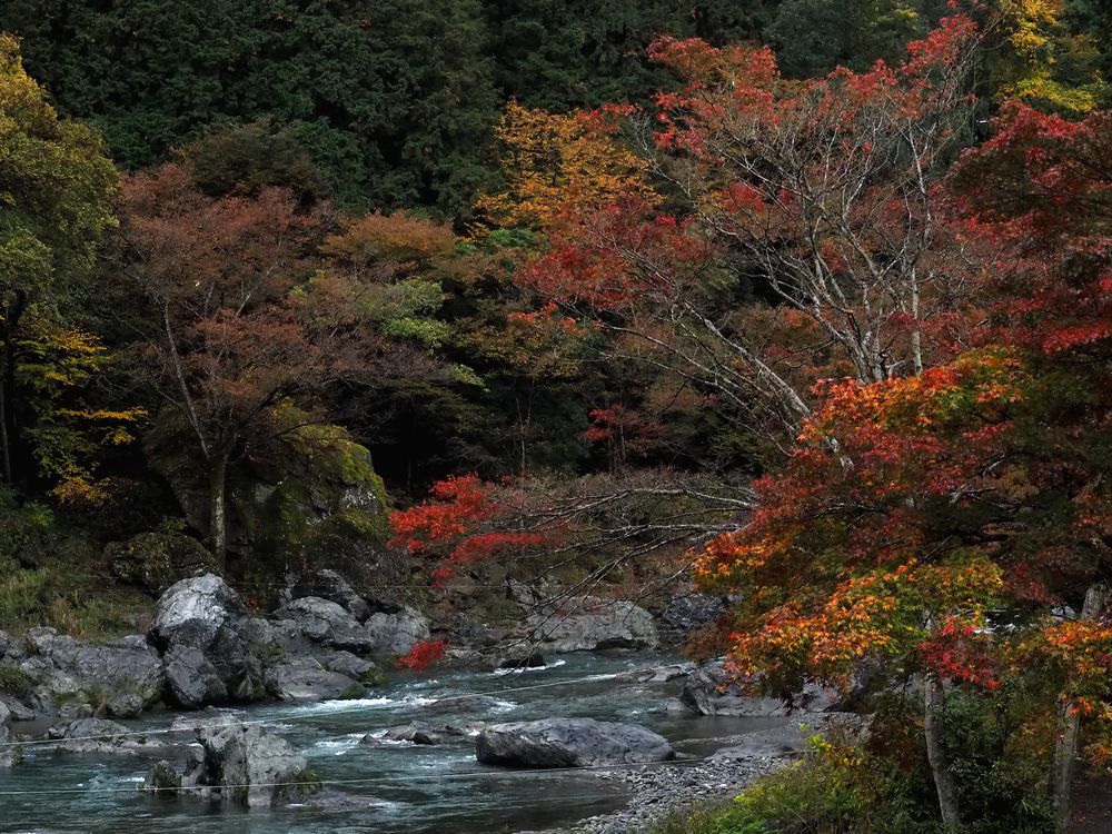 b0204819_1646250.jpg