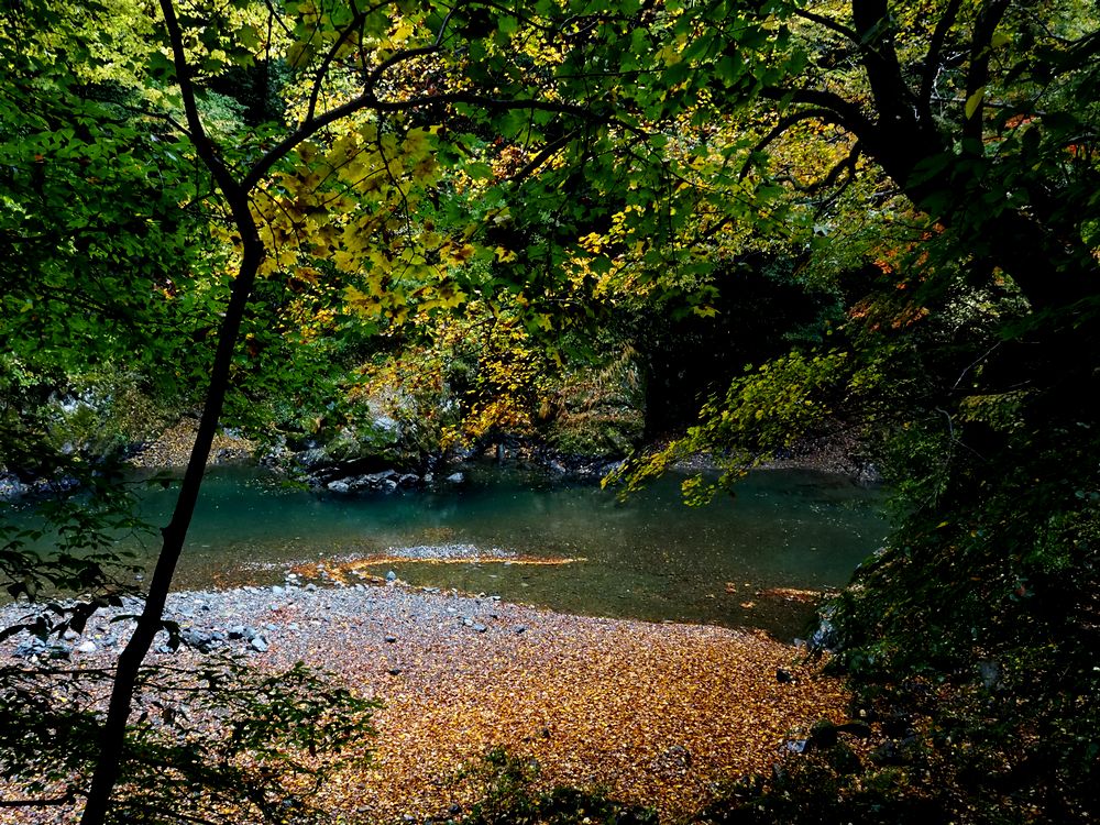 b0204819_17334870.jpg