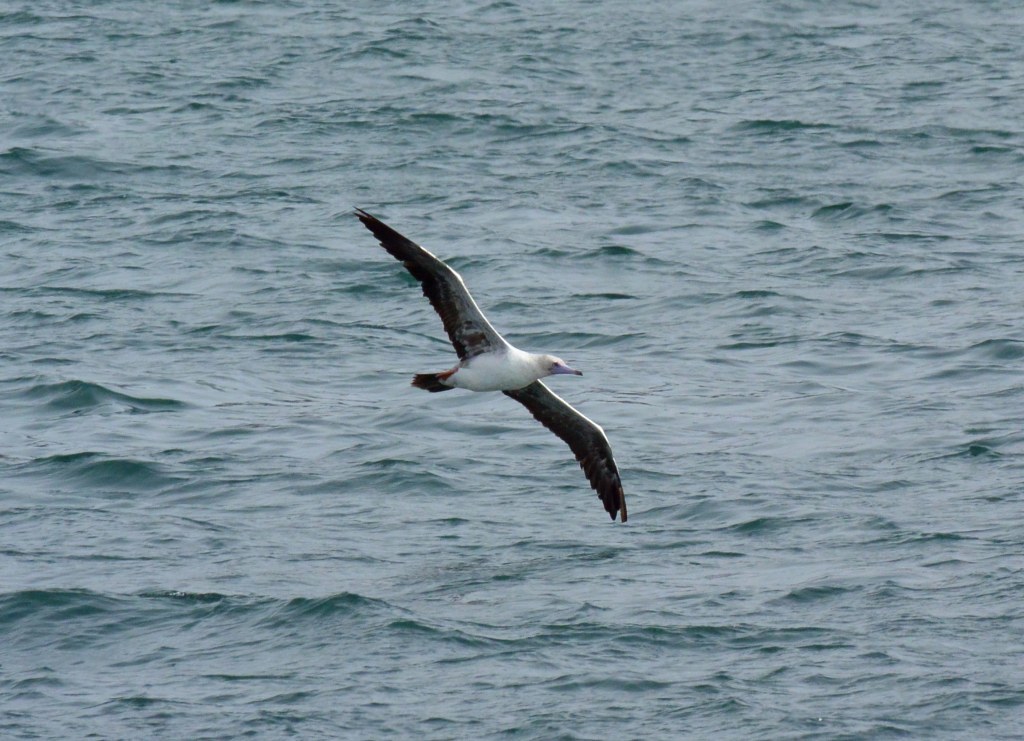 c0349842_20380054.jpg
