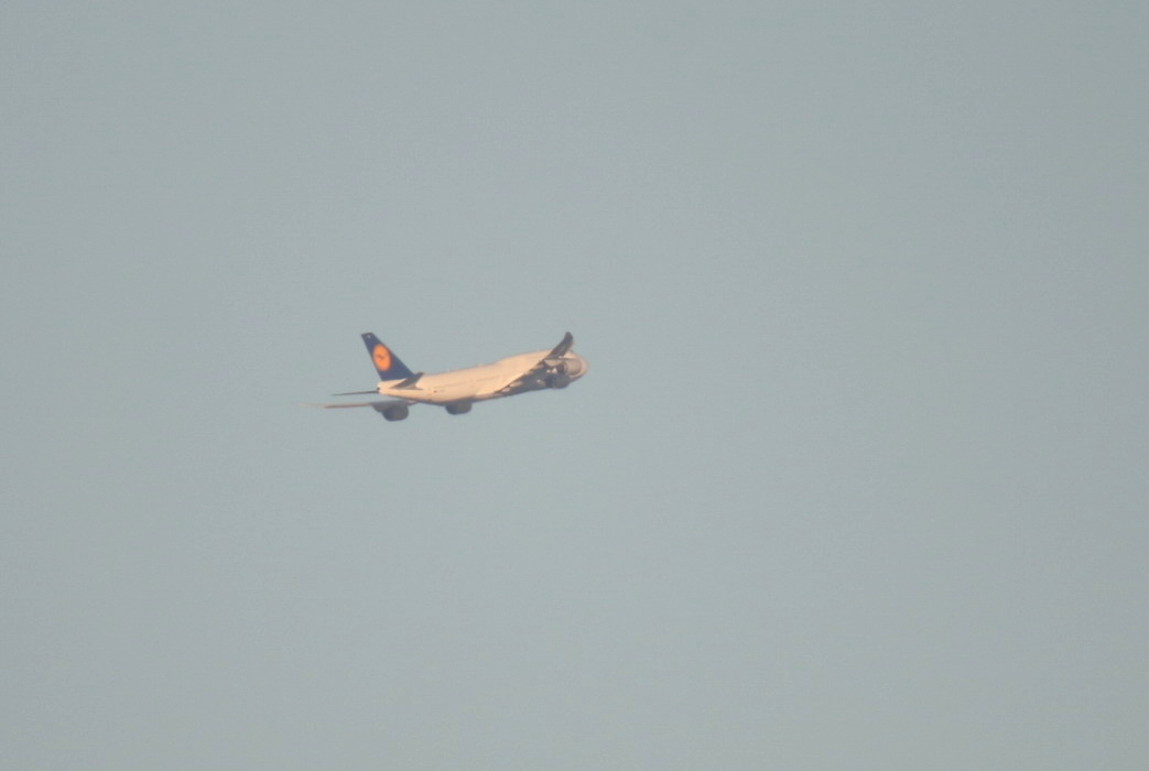 e0128144_16000646.jpg