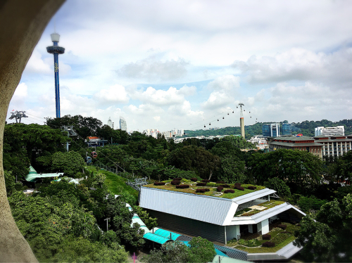 シンガポールへGo!Part5_e0292546_08264105.jpg