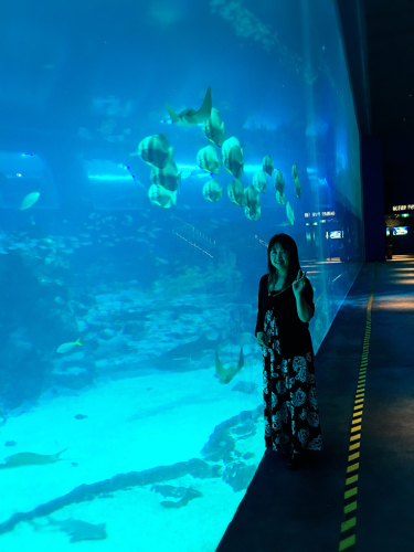 シンガポールへGo!Part5_e0292546_08345203.jpg