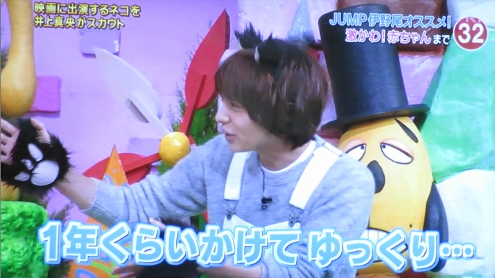 再び 伊ニャー慧 天才 志村どうぶつ園 16 01 23放送 有岡大貴くんの指が見たい Hey Say Jump いのありを愛でる日々 再び 伊ニャー慧 天才 志村どうぶつ園 16 01 23放送 有岡大貴くんの指が見たい Hey Say Jump いのありを愛でる日々