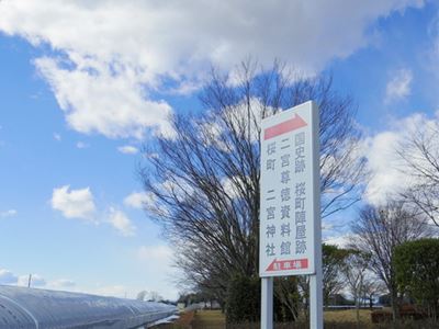 真岡二宮神社と専修寺_b0220251_17512834.jpg