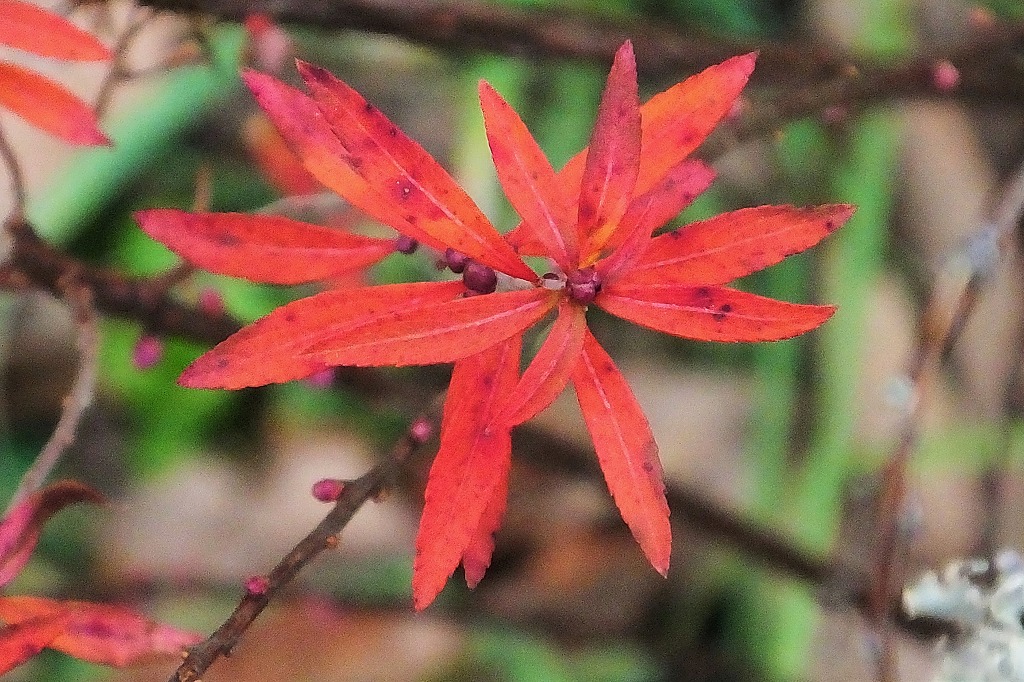 b0236251_105551.jpg