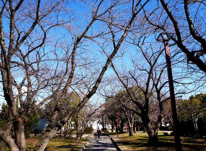 　　和歌山便り_b0093754_143218100.jpg