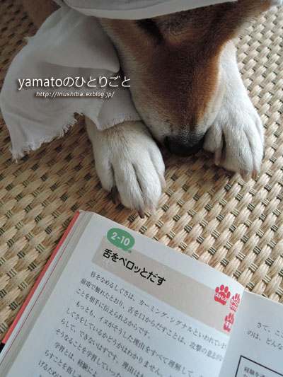 犬の本 【しぐさでわかるイヌ語大百科】 - yamatoのひとりごと