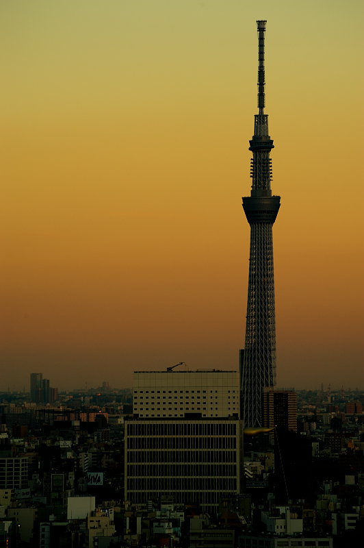 b0283455_10512161.jpg