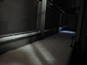 e0090555_22502974.jpg