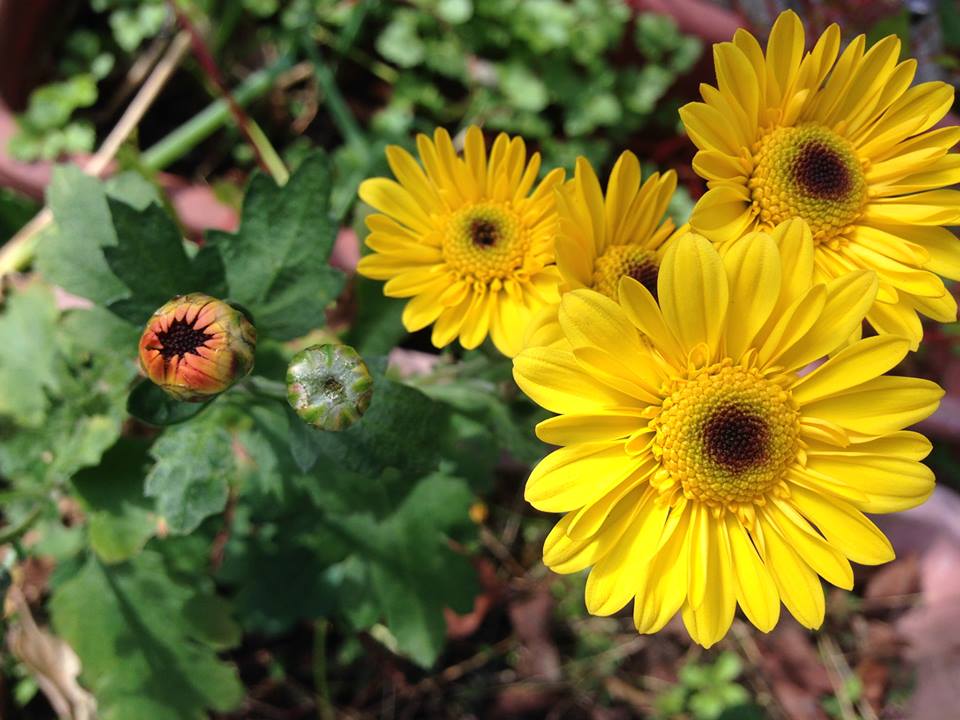 c0115560_16554681.jpg