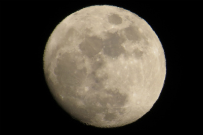 f0182173_1331191.jpg