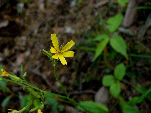 d0019074_9433760.jpg