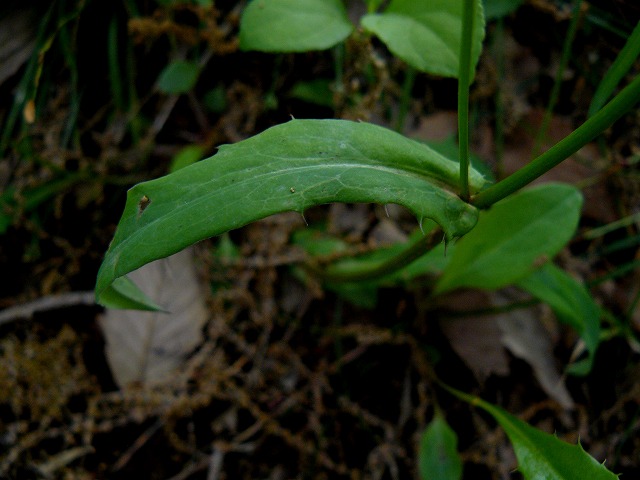 d0019074_9435015.jpg