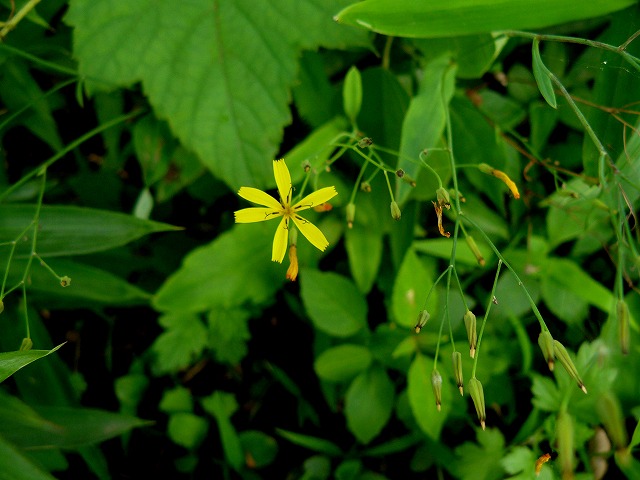 d0019074_9441560.jpg