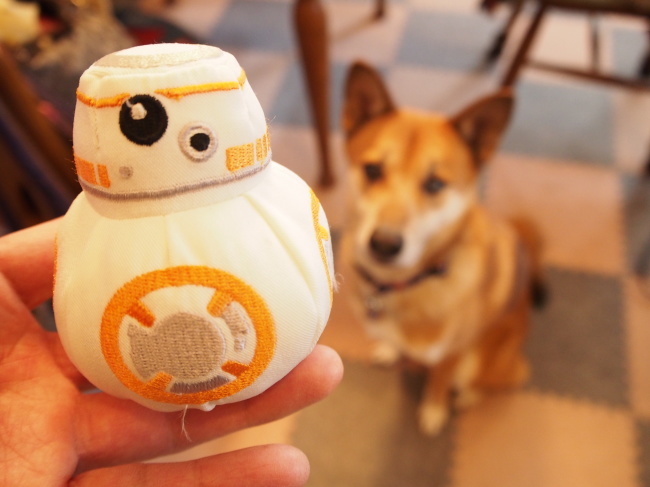 BB-8_b0246876_23531049.jpg