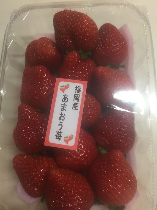 1月のレッスン_c0366777_13252543.jpg