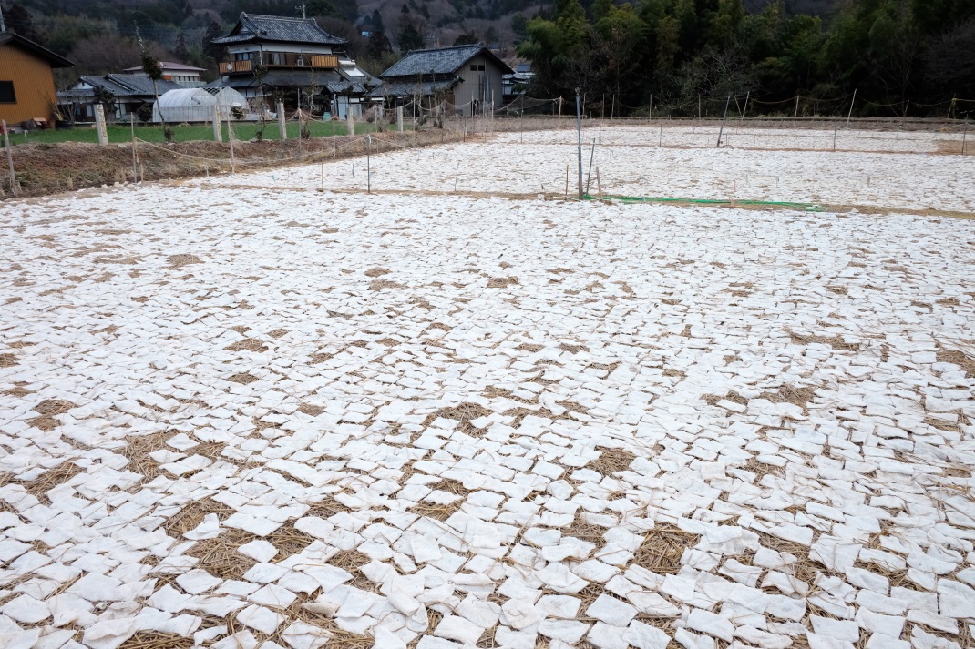 幻の乾物・凍みこんにゃく　常陸太田市天下野　２０１６・０１・２３_e0143883_11292465.jpg