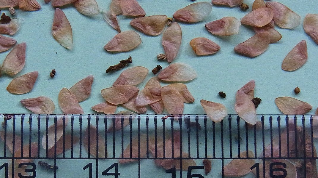 f0346184_1730138.jpg