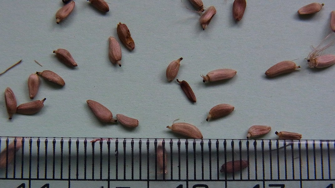 f0346184_17341646.jpg