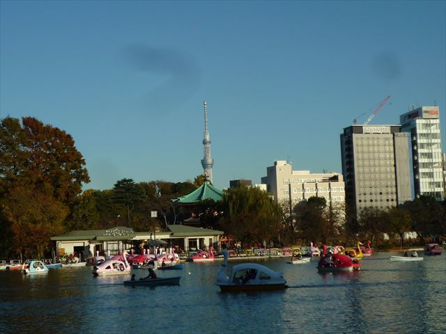 b0287088_20191455.jpg