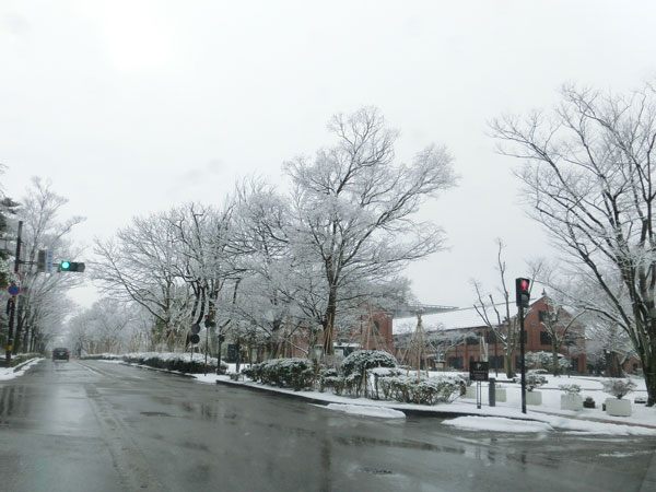 e0131399_0251286.jpg