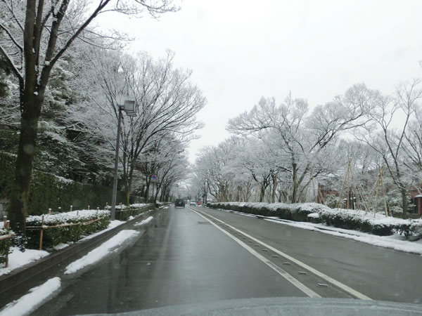 e0131399_0263751.jpg