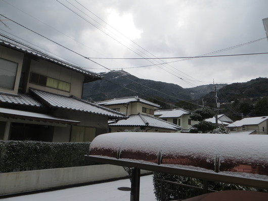 今日は雪でした。_b0130100_2073272.jpg