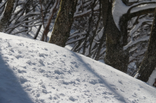 a0320601_20374366.jpg