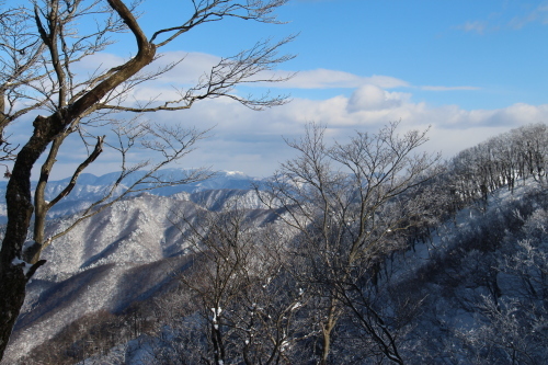 a0320601_20423051.jpg