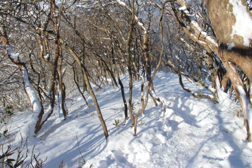 a0320601_23062460.jpg