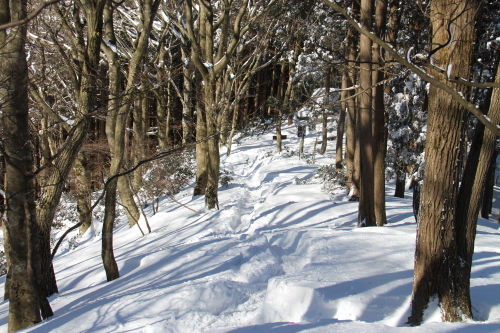 a0320601_23074409.jpg