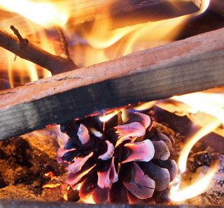 c0039501_15111011.jpg