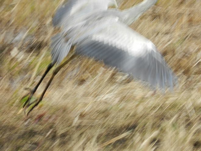 e0033301_182411.jpg