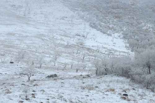 e0304001_14273868.jpg